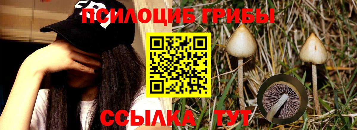 Галлюциногенные грибы Psilocybine cubensis  даркнет сайт  Орёл  Вход с VPN 