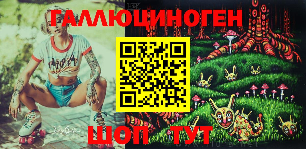 Галлюциногенные грибы Psilocybine cubensis Орёл